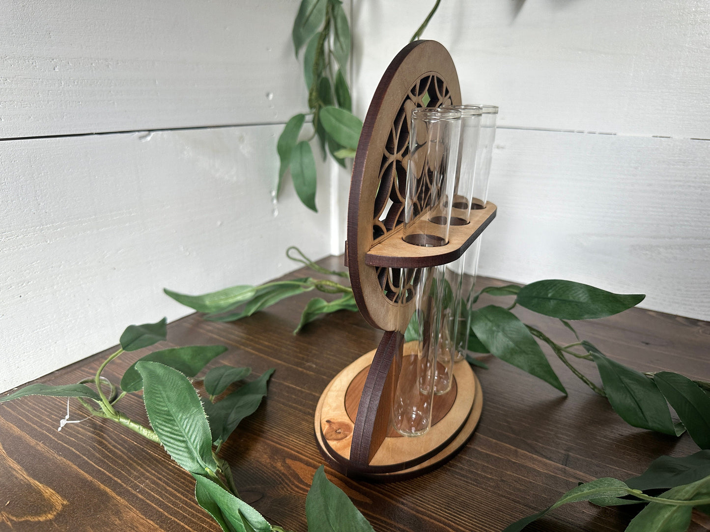 Whimsical dragonfly Plant Propagation Station