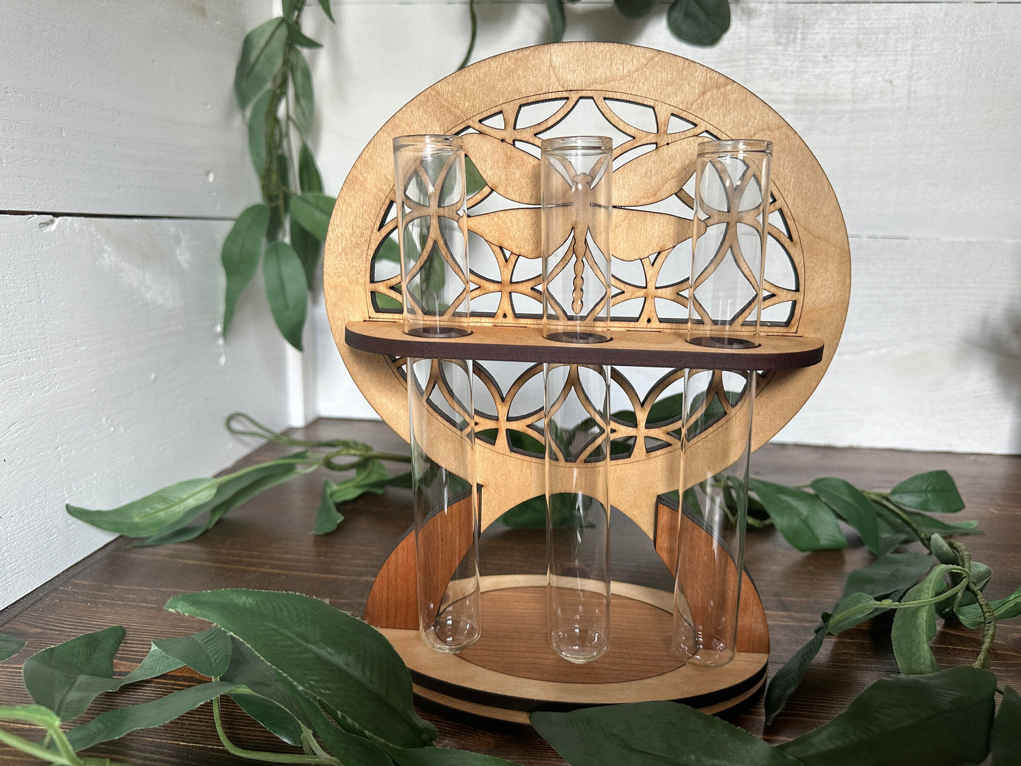 Whimsical dragonfly Plant Propagation Station